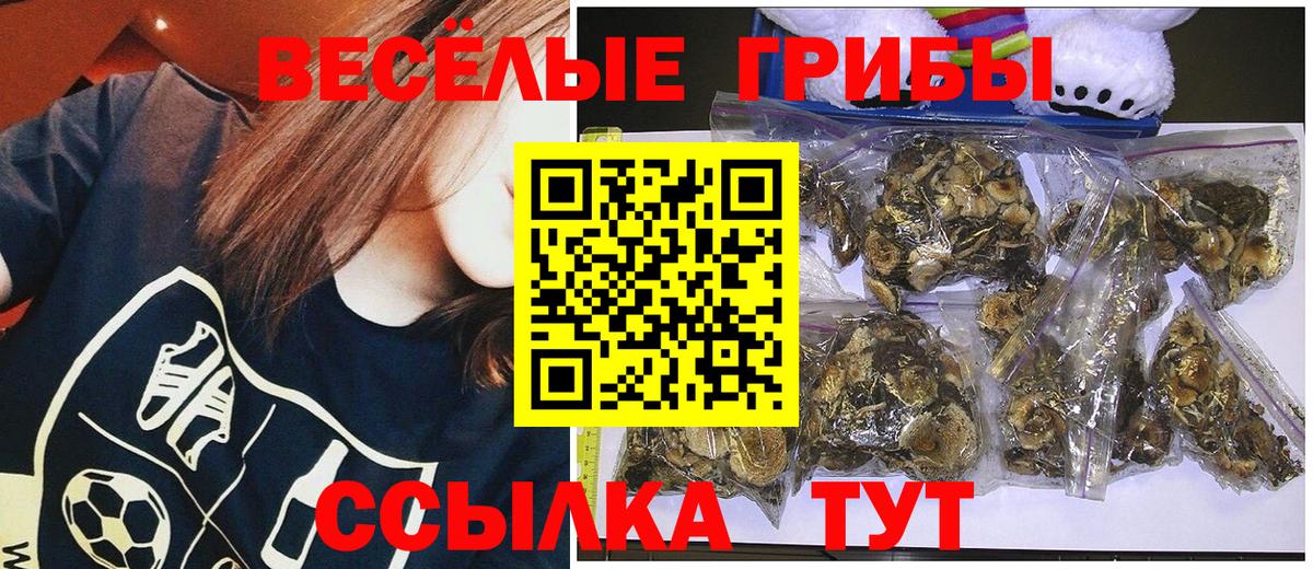 Галлюциногенные грибы MAGIC MUSHROOMS Полысаево