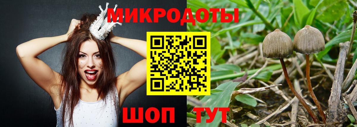 магазин продажи наркотиков  Псилоцибиновые грибы Magic Shrooms  Вход с VPN  Полысаево 